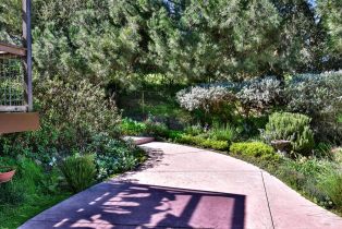 Single Family Residence,  Paula lane, Petaluma, CA 94952 - 24