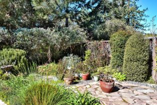 Single Family Residence,  Paula lane, Petaluma, CA 94952 - 25