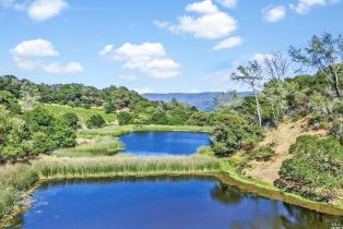 Single Family Residence,  Atlas Peak road, Napa, CA 94558 - 55