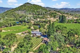 Single Family Residence,  Atlas Peak road, Napa, CA 94558 - 56