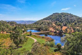 Single Family Residence,  Atlas Peak road, Napa, CA 94558 - 52