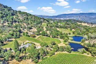 Single Family Residence,  Atlas Peak road, Napa, CA 94558 - 4