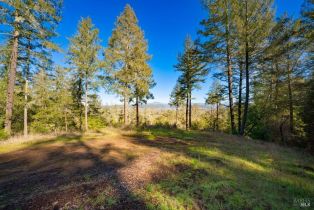 Residential Acreage,  Dry Creek road, Healdsburg, CA 95448 - 22