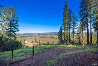 Residential Acreage,  Dry Creek road, Healdsburg, CA 95448 - 3