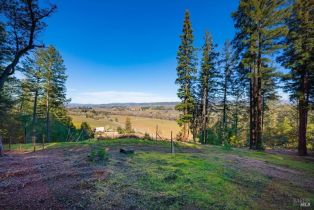 Residential Acreage,  Dry Creek road, Healdsburg, CA 95448 - 31