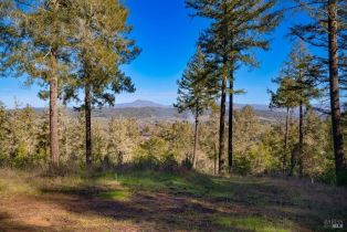 Residential Acreage,  Dry Creek road, Healdsburg, CA 95448 - 24