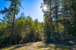 Residential Acreage,  Dry Creek road, Healdsburg, CA 95448 - 30