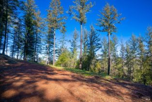 Residential Acreage,  Dry Creek road, Healdsburg, CA 95448 - 19