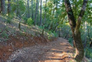 Residential Acreage,  Dry Creek road, Healdsburg, CA 95448 - 12