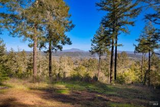 Residential Acreage,  Dry Creek road, Healdsburg, CA 95448 - 29