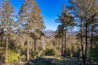 Residential Acreage,  Dry Creek road, Healdsburg, CA 95448 - 15
