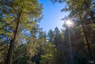 Residential Acreage,  Dry Creek road, Healdsburg, CA 95448 - 25
