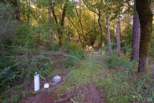 Residential Acreage,  Dry Creek road, Healdsburg, CA 95448 - 28