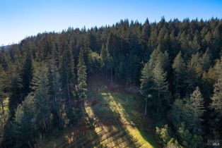 Residential Acreage,  Dry Creek road, Healdsburg, CA 95448 - 5
