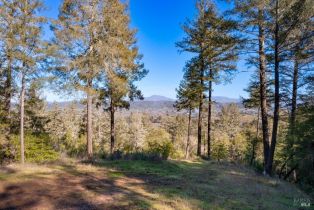 Residential Acreage,  Dry Creek road, Healdsburg, CA 95448 - 14