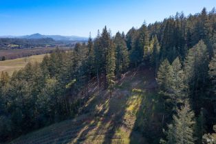 Residential Acreage,  Dry Creek road, Healdsburg, CA 95448 - 17