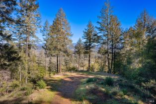 Residential Acreage,  Dry Creek road, Healdsburg, CA 95448 - 16