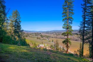 Residential Acreage,  Dry Creek road, Healdsburg, CA 95448 - 20