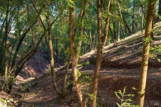 Residential Acreage,  Dry Creek road, Healdsburg, CA 95448 - 26