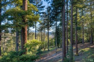 Residential Acreage,  Dry Creek road, Healdsburg, CA 95448 - 9