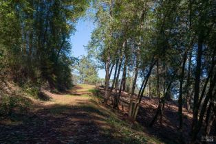 Residential Acreage,  Dry Creek road, Healdsburg, CA 95448 - 27