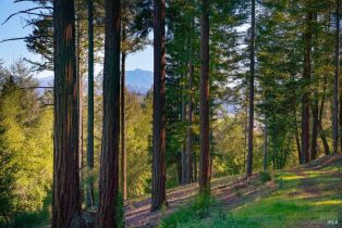 Residential Acreage,  Dry Creek road, Healdsburg, CA 95448 - 4