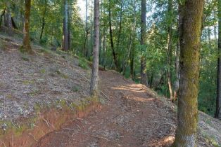 Residential Acreage,  Dry Creek road, Healdsburg, CA 95448 - 11