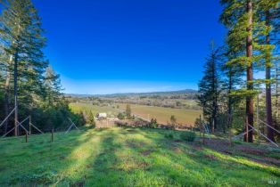 Residential Acreage,  Dry Creek road, Healdsburg, CA 95448 - 21