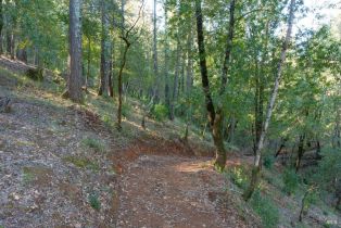 Residential Acreage,  Dry Creek road, Healdsburg, CA 95448 - 10