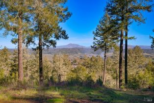 Residential Acreage,  Dry Creek road, Healdsburg, CA 95448 - 23