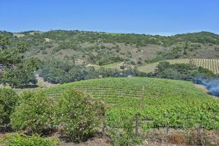 Single Family Residence,  Paragon way, Sonoma, CA 95476 - 7