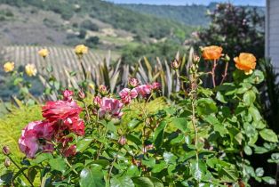 Single Family Residence,  Paragon way, Sonoma, CA 95476 - 22
