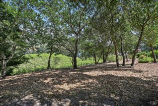 Single Family Residence,  Paragon way, Sonoma, CA 95476 - 19