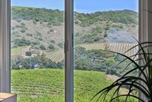 Single Family Residence,  Paragon way, Sonoma, CA 95476 - 47