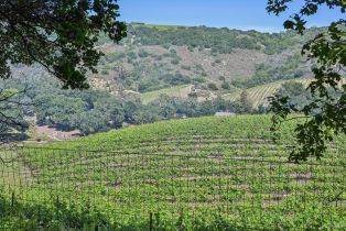 Single Family Residence,  Paragon way, Sonoma, CA 95476 - 21