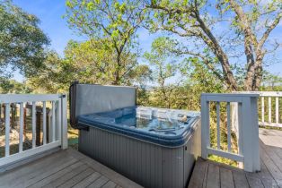 Single Family Residence,  Soda Canyon road, Napa, CA 94558 - 29