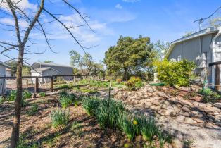 Single Family Residence,  Soda Canyon road, Napa, CA 94558 - 27