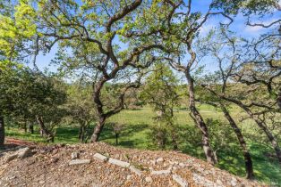 Single Family Residence,  Soda Canyon road, Napa, CA 94558 - 25