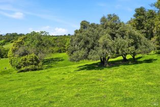 Single Family Residence, Brooks road, Windsor, CA 95492 - 43