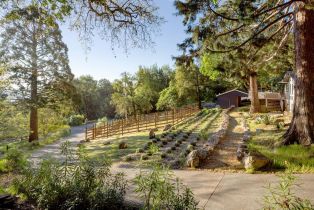 Single Family Residence,  Sweet William court, Sonoma, CA 95476 - 20