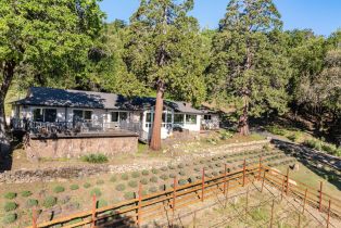Single Family Residence,  Sweet William court, Sonoma, CA 95476 - 23