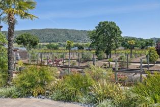 Single Family Residence,  Burndale road, Sonoma, CA 95476 - 39