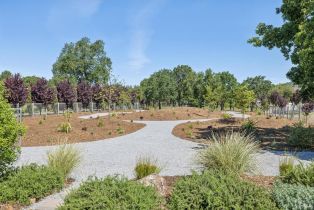 Single Family Residence,  Burndale road, Sonoma, CA 95476 - 33