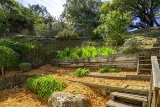 Single Family Residence, I street, Petaluma, CA 94952 - 36