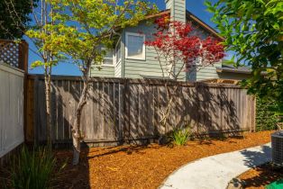 Single Family Residence,  Sheffield place, Petaluma, CA 94954 - 38