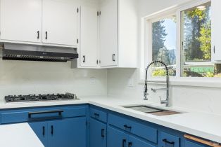 Single Family Residence,  River boulevard, Russian River, CA 95462 - 8