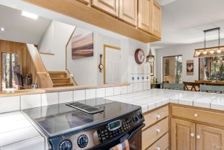 Single Family Residence, Fish Hook none, Sea Ranch, CA 95497 - 9