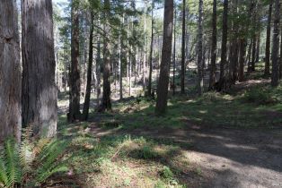 Single Family Residence, Fish Hook none, Sea Ranch, CA 95497 - 34