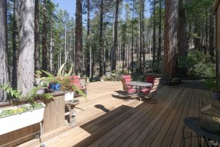 Single Family Residence, Fish Hook none, Sea Ranch, CA 95497 - 31