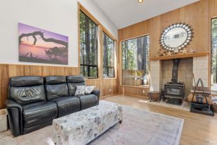 Single Family Residence, Fish Hook none, Sea Ranch, CA 95497 - 5